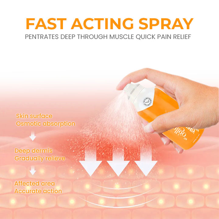 CC™ Apitherapy Joint Mobility Aid Spray (Full Body Recovery)