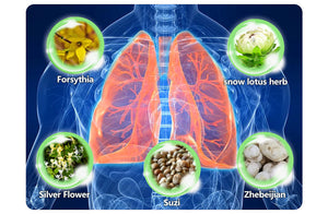 Herbal Lung Cleanse Mist - Powerful Lung Support, Cleanse & Breathe